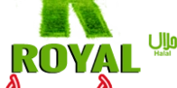 royalpizza-valence.fr